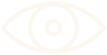 vision